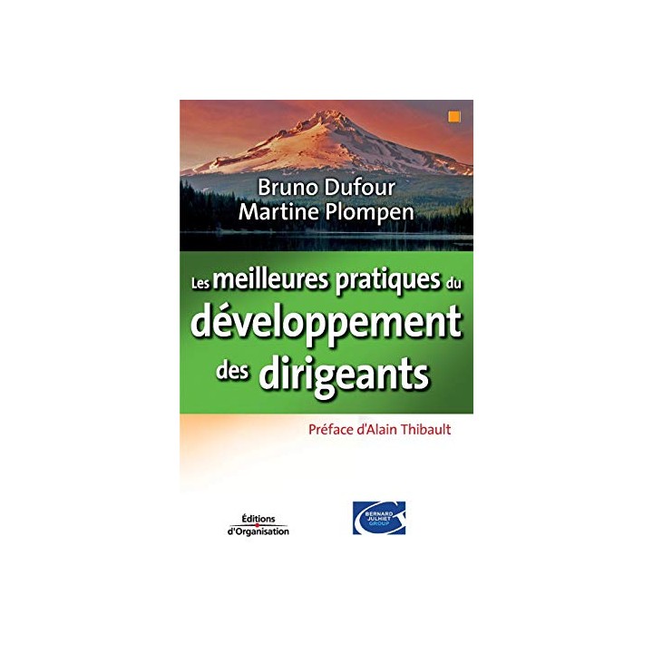 Les Meilleures Pratiques Du Développement Des Dirigeants